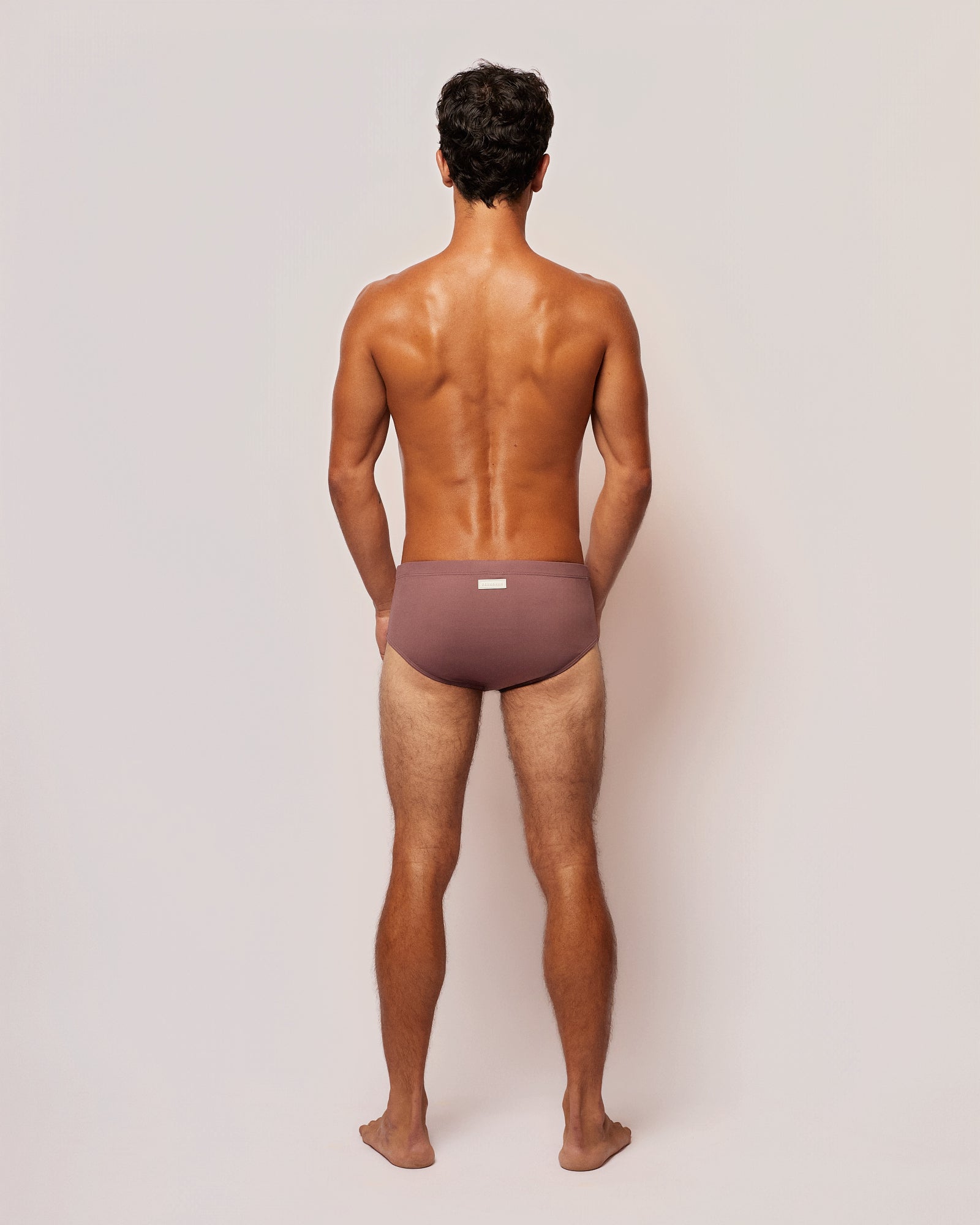 Swim Brief Terra