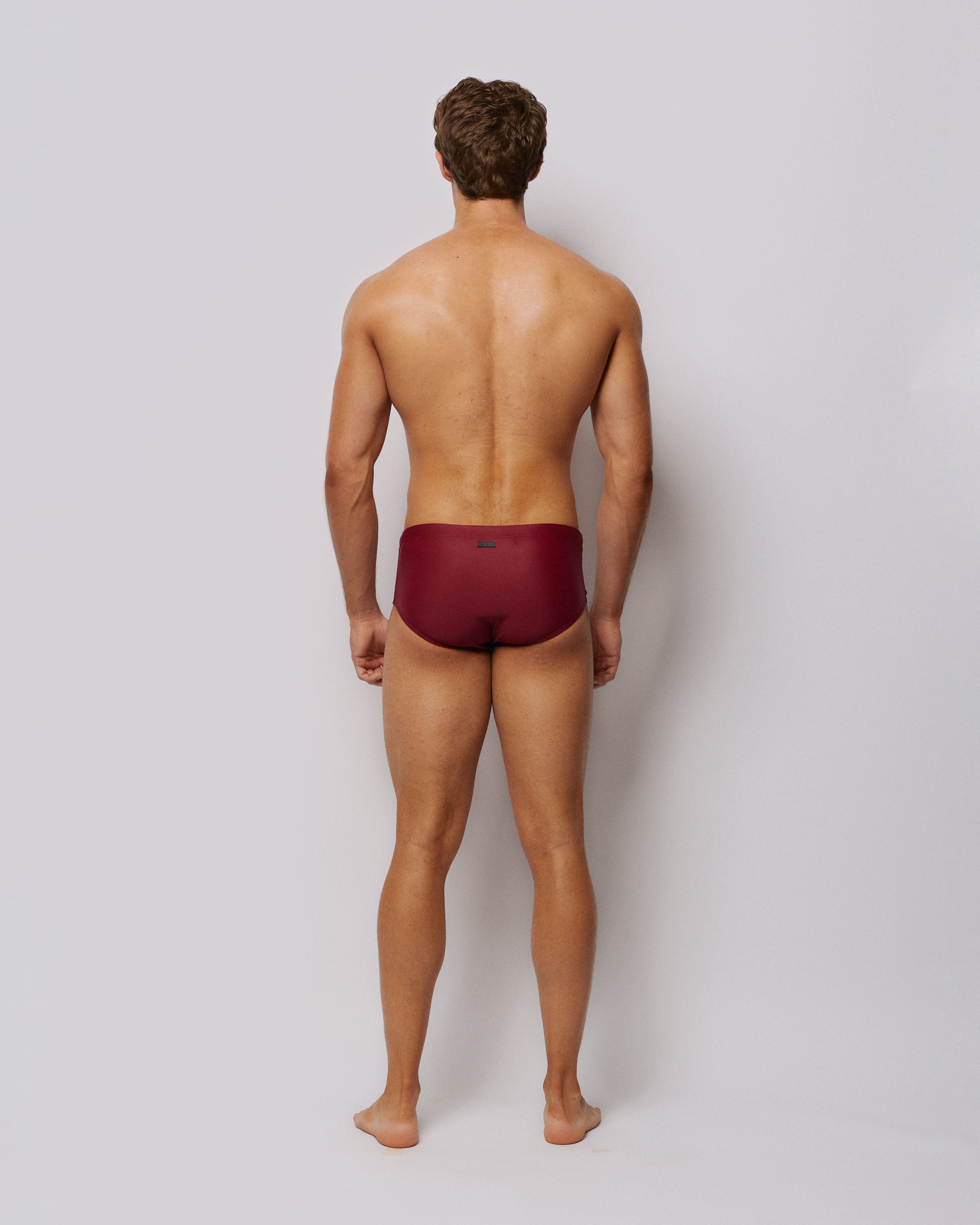 Swim Brief Terra