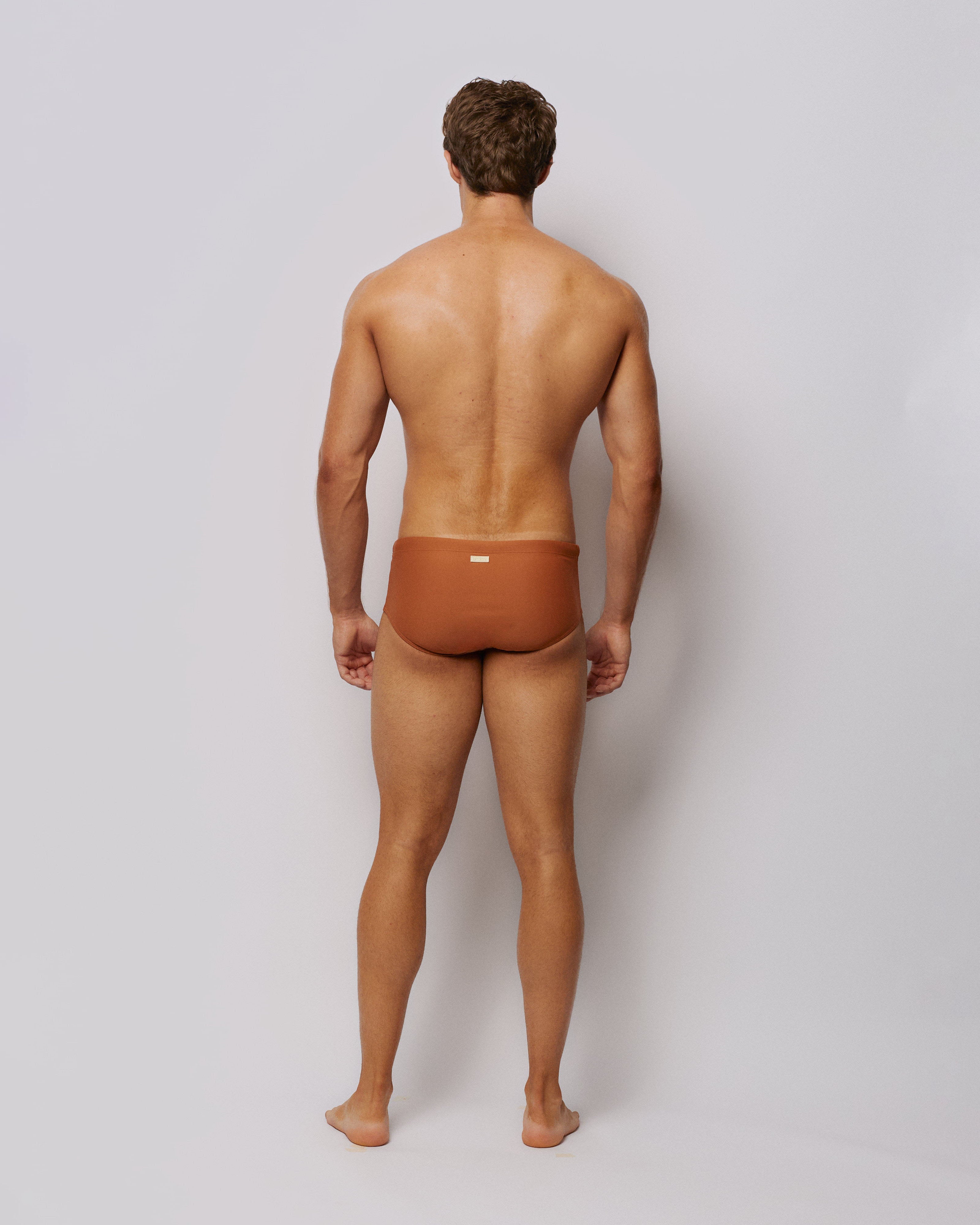Swim Brief Terra